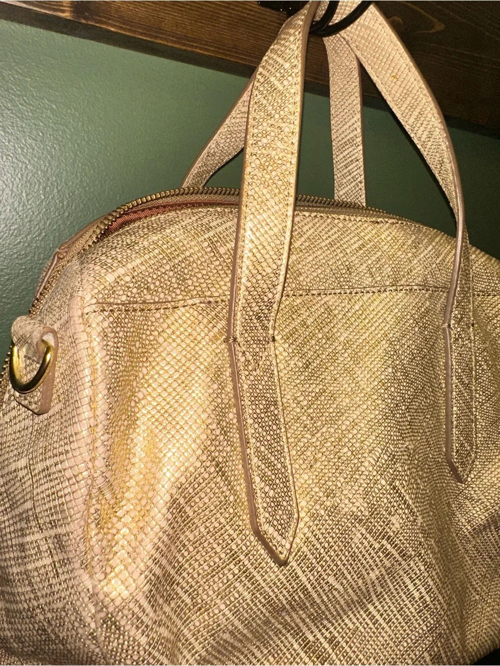 Fossil material genuine